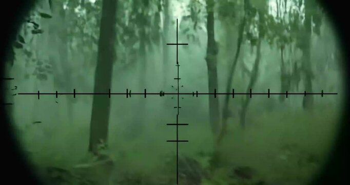 Mysterious Creature in the Woods