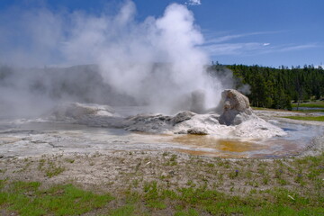 Grotto Geyser erupting, in Upper Geyser Basin, Yellowstone National Park, USA