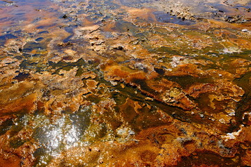 land with sulphur at Yellowstone National Park