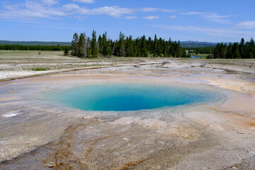 beautiful blue hot spring thermal pool, called Opal Pool, in the Midway Geyser Basin of Yellowstone National Park, Wyoming, USA