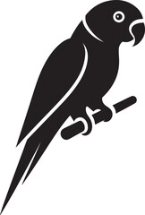 Parakeet bird silhouette vector illustration. Cockatoo silhouette vector