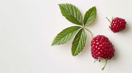 Delicious blackberry with a small leaf on a bright white background. AI generative.