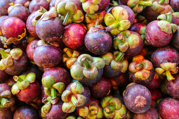 A close-up shot of a pile of ripe mangosteens, showcasing their vibrant purple skin and intricate texture. The image evokes the tropical atmosphere and highlights the beauty of this exotic fruit.