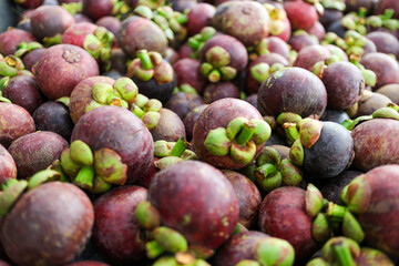 A close-up photo of a pile of fresh mangosteens. The purple fruits are arranged together, showcasing their vibrant colors and textures. Close-up of Fresh Mangosteens