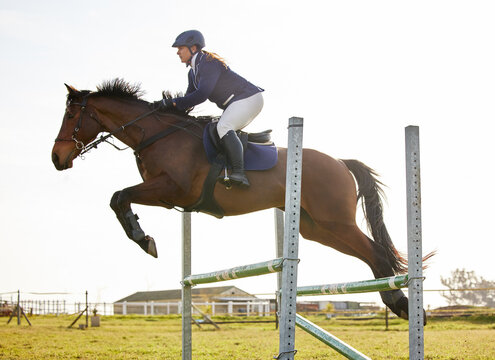 Hurdle, jumping and person with horse at equestrian event, show or competition in countryside field. Sports, farm and jockey with animal for racing by metal fence obstacle at ranch in England.