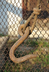 Rusty metal tow hook with rope close-up on blurred background of metal mesh fence. selective focus
