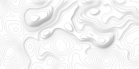 Vector white wave line geography landscape Topo contour map on white background. Geographic mountain relief diagram line wave carve pattern. Topographic world map contour lines map texture.