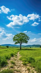 Fototapeta premium a tree in a field with a cloud in the sky 