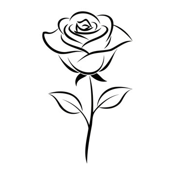 recommend clip art: A rose outline vector illustration