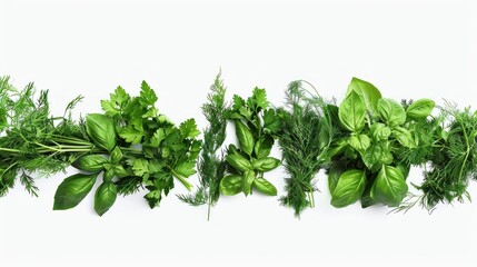 Obraz premium fresh green grass on a white background