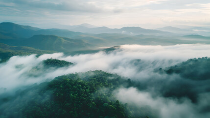 Obraz premium Foggy landscape in mountains. Fog and cloud mountain tropic valley landscape. aerial view, landscapes illustration