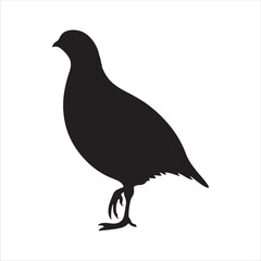 Quail bird silhouette on white background. Quail bird icon vector sign illustration design.
