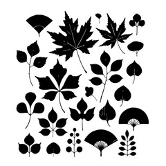 set of autumn leaves