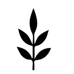 leaf isolated on white