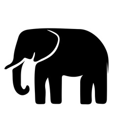 elephant isolated on white