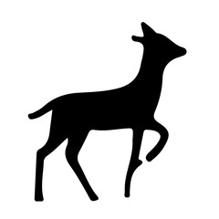 silhouette of a deer