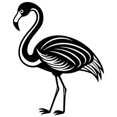 Saros Bird vector illustration 