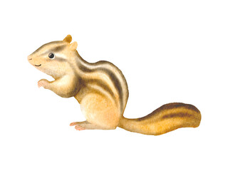 水彩で描いたかわいいリスのイラスト素材