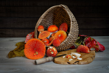 Spilled poisonous mushrooms the table