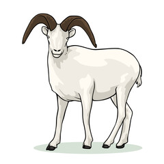 vector illustration of male goat