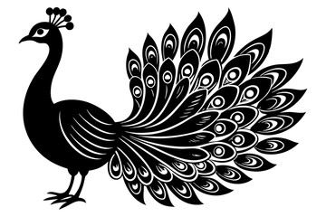 Peacock silhouette isolated on a white background. Vector illustration