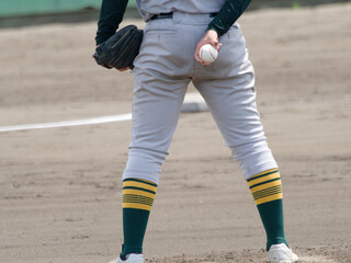 Fototapeta premium 野球の試合でボールを後ろに持った投球前のピッチャーの後ろ姿