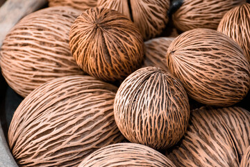 Top view of a cerbera odollam seeds or pong pong seeds from suicide tree. Close up of pong pong plant seeds showing beautiful patterns used for garden decoration.