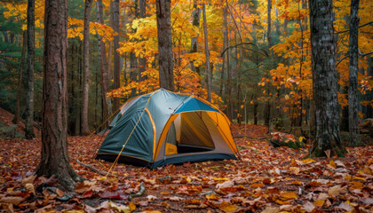 A lone tent sits in a forest during autumn surrounded by vibrant foliage