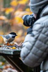 Fototapeta premium Photographer capturing a small bird on a table, demonstrating wildlife photography in a natural setting.