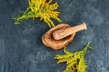 Medicinal herbs in herbal medicine.