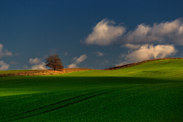 Pomorski krajobraz © Robert