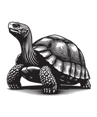 tortoise vector art,graphics tortoises icons set,vintage illustration tortoise clipart,vector tortoises flat style artwork design