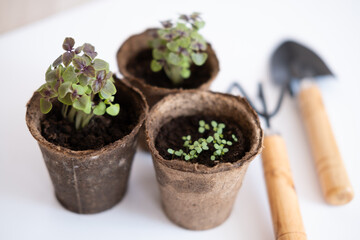 Garden concept: seeds, pots and little instruments like a shovel and rake on white background. Environmental conservation, eco concept