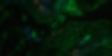 Dive into the Lively Psychedelic Patterns and Get Lost in an Abstract Masterpiece of Colors and Shapes
