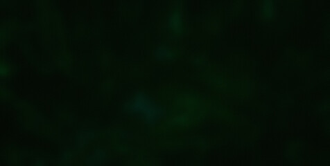 Dive into the Lively Psychedelic Patterns and Get Lost in an Abstract Masterpiece of Colors and Shapes
