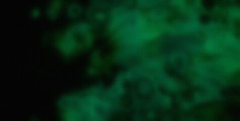 Dive into the Lively Psychedelic Patterns and Get Lost in an Abstract Masterpiece of Colors and Shapes
