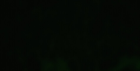 Dive into the Lively Psychedelic Patterns and Get Lost in an Abstract Masterpiece of Colors and Shapes
