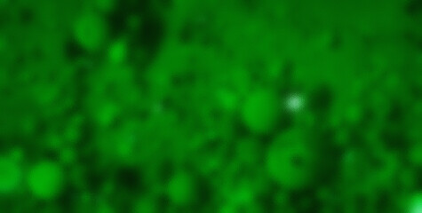 Dive into the Lively Psychedelic Patterns and Get Lost in an Abstract Masterpiece of Colors and Shapes
