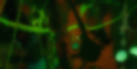 Dive into the Lively Psychedelic Patterns and Get Lost in an Abstract Masterpiece of Colors and Shapes
