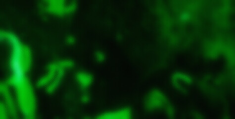 Chromatic Chaos Unleashed: Revel in the Vibrant and Joyful Symphony of Colors in an Abstract Creation
