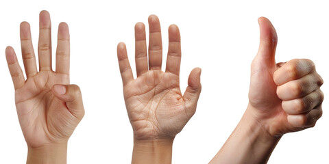 counting hands four, five, six isolated on transparent background
