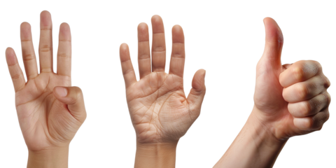 counting hands four, five, six isolated on transparent background