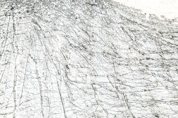Ibex female on glacier, drone view (Capra ibex)