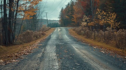 A winding dirt road in a dense forest, ideal for outdoor adventures and nature photography
