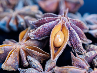 A close-up of anise seeds, highlighting their texture and nuances, is ideal for illustration of spices and cooking