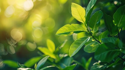 Nature of green leaf in garden at summer. Natural green leaves plants using as spring background cover page greenery environment ecology wallpaper, generative ai