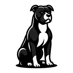 Pit bull dog  vector illustration on white background.
