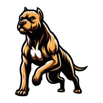 Pit bull dog  vector illustration on white background.
