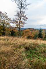 Autumn mountains with meadow and hills covered by colorful deciduous forest