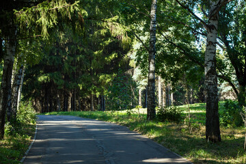 morning path in the park